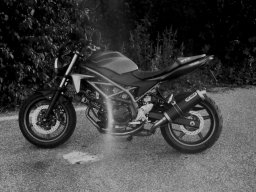 Moto