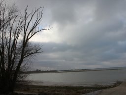 Lac du Der