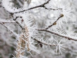 Givre